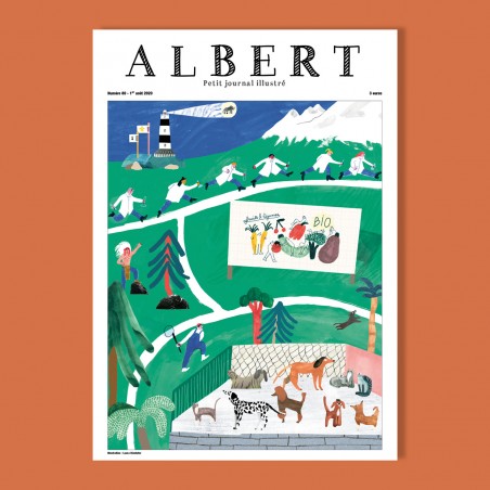 Albert n°80