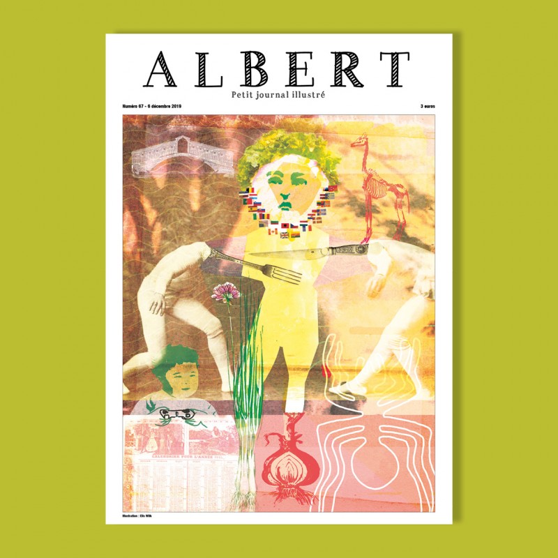 Albert n°67