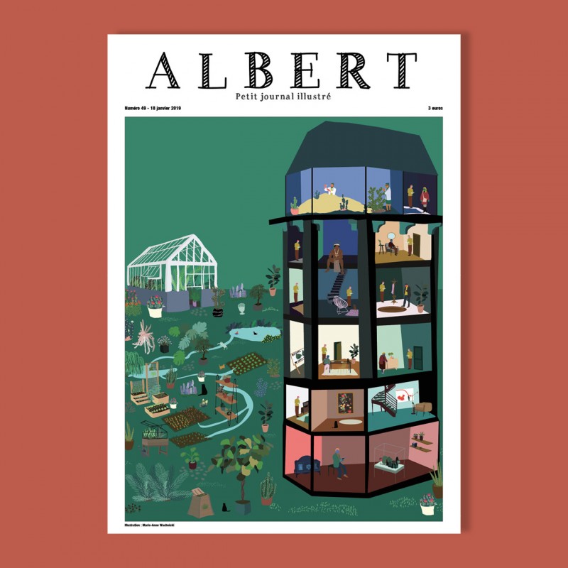 Albert n°49