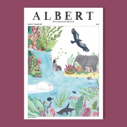 Albert n°46